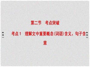 江蘇省高考語文大一輪復習 第3部分 現(xiàn)代文閱讀 第3章 實用類文本閱讀 第2節(jié) 考點突破 考點1 理解文中重要概念（詞語）含義、句子含意課件