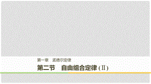 高中生物 第一章 孟德爾定律 第二節(jié) 自由組合定律（Ⅱ）課件 浙科版必修2