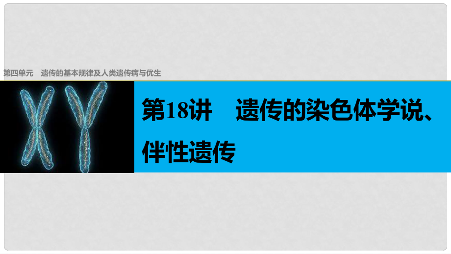 高考生物總復(fù)習(xí) 第4單元 遺傳的基本規(guī)律及人類遺傳病與優(yōu)生 第18講 遺傳的染色體學(xué)說、伴性遺傳課件_第1頁(yè)