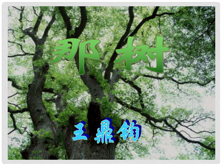 四川省雅安市雨城區(qū)中里鎮(zhèn)中學(xué)九年級(jí)語(yǔ)文下冊(cè) 第10課《那樹(shù)》課件 新人教版_第1頁(yè)