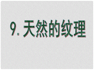 三年級(jí)美術(shù)上冊(cè) 第9課 天然的紋理課件2 新人教版