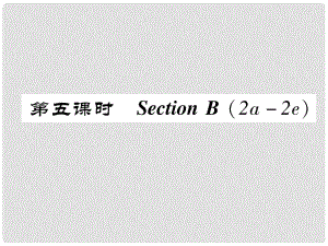 八年級(jí)英語上冊 Unit 1 Where did you go on vacation（第5課時(shí)）Section B（2a2e）同步作業(yè)課件 （新版）人教新目標(biāo)版