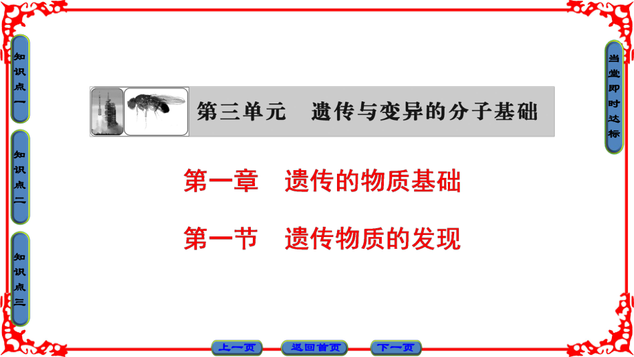 高中生物 第3單元 遺傳與變異的分子基礎(chǔ) 第1章 遺傳的物質(zhì)基礎(chǔ) 第1節(jié) 遺傳物質(zhì)的發(fā)現(xiàn)課件 中圖版必修2_第1頁