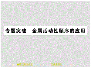 中考化學總復習 第一篇 教材知識梳理 專題突破 金屬活動性順序的應用課件