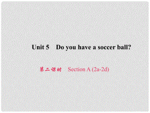 原七年級英語上冊 Unit 5 Do you have a soccer ball（第2課時(shí)）Section A（2a2d）習(xí)題課件 （新版）人教新目標(biāo)版