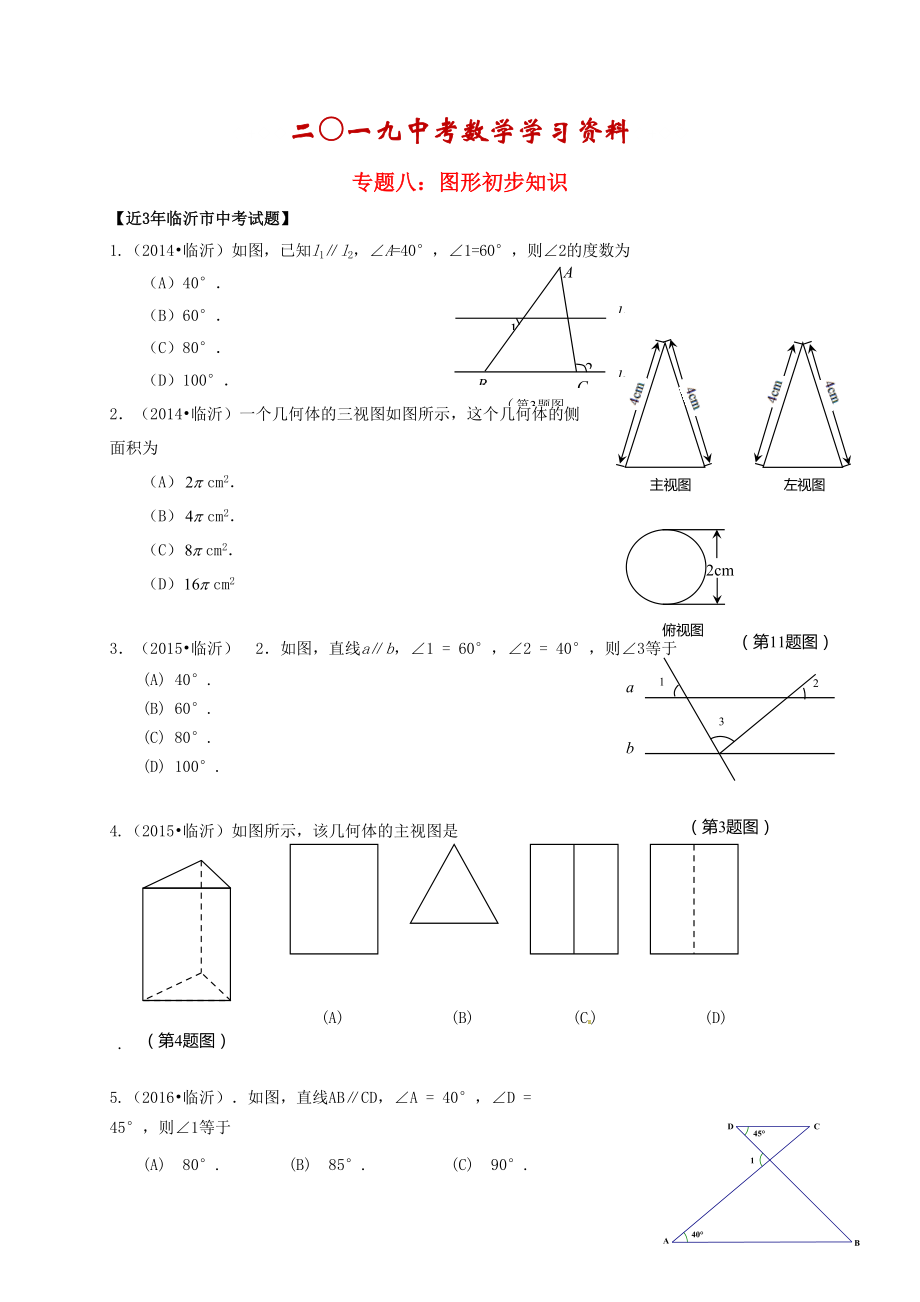 【名校資料】山東省臨沂市中考數(shù)學(xué)二輪專題復(fù)習(xí) 專題8 圖形初步知識_第1頁