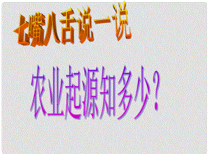 七年級歷史上冊 第2課 原始農(nóng)耕生活課件 新人教版(11)