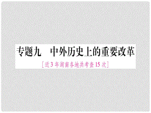 湖南省中考歷史復習 第二篇 知能綜合提升 專題9 中外歷史上的重要改革課件