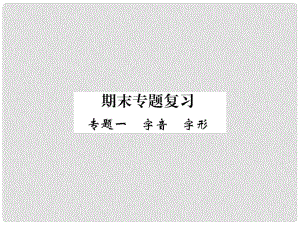 八年級語文下冊 專題一 字音 字形課件 （新版）新人教版