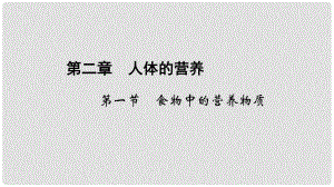 七年級生物下冊 第二章 第一節(jié) 食物中的營養(yǎng)物質(zhì)課件 （新版）新人教版