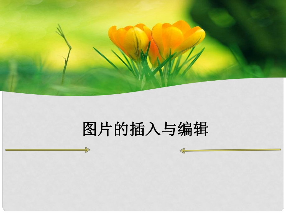 四年級信息技術(shù)上冊 第12課 圖片的瀏覽和編輯課件1 冀教版_第1頁