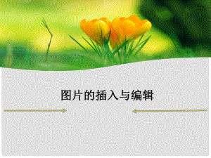 四年級信息技術上冊 第12課 圖片的瀏覽和編輯課件1 冀教版