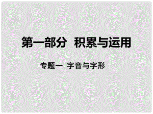 湖南省中考語文 第一部分 積累與運用 專題一 字音字形課件 語文版湖南省中考語文 第一部分 積累與運用 專題一 字音字形課件 語文版