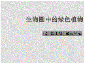 中考生物 生物圈中的綠色植物課件 人教新課標(biāo)版