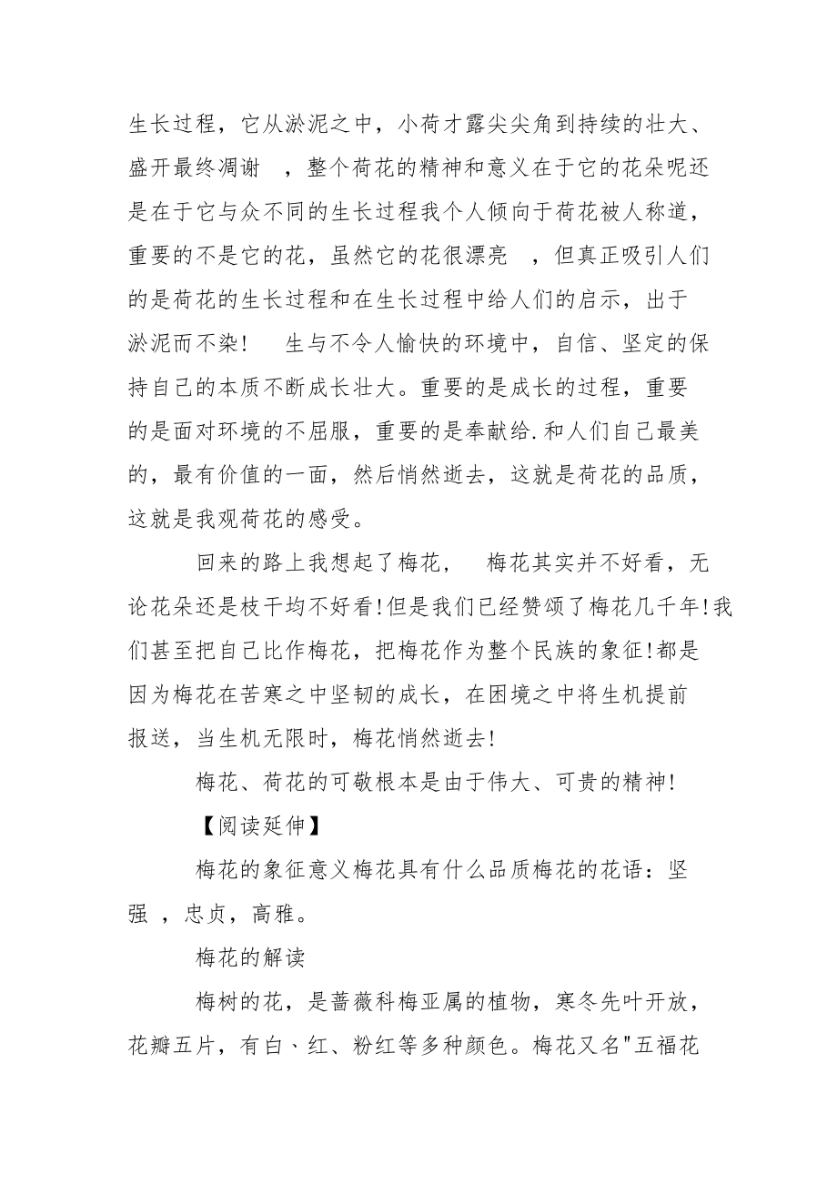 荷花品格梅花精神优秀演讲稿