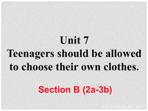 九年級英語全冊 Unit 7 Teenagers should be allowed to choose their own clothes Section B（2a3b）作業(yè)課件 （新版）人教新目標(biāo)版