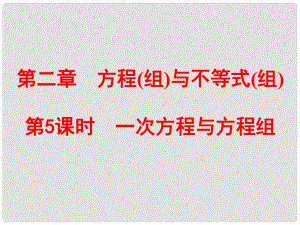 浙江省中考數(shù)學(xué)總復(fù)習(xí) 第一篇 考點(diǎn)梳理即時(shí)訓(xùn)練 第二章 方程(組)與不等式(組)第5課時(shí) 一次方程與方程組課件