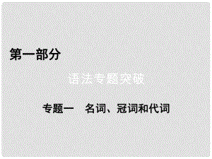 高考英語(yǔ)二輪復(fù)習(xí) 第一部分 語(yǔ)法突破 專(zhuān)題1 名詞、冠詞和代詞 第1講 名詞課件