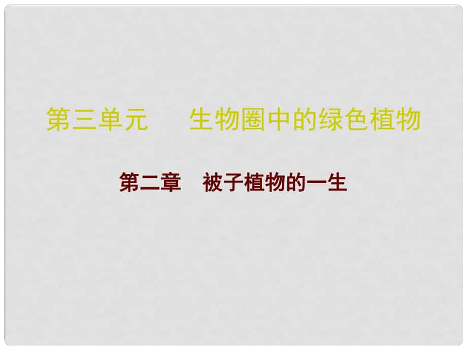 廣東省中考生物 第三單元 第二章 被子植物的一生復習課件_第1頁