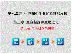 八年級生物下冊 第七單元 第三章 第二節(jié) 生物進化的歷程課件 （新版）新人教版