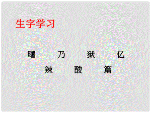 四年級語文下冊 第27課《再寄小讀者》生字學習課件 冀教版