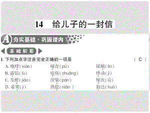 廣西桂林市九年級語文上冊 第四單元 14 給兒子的一封信習(xí)題課件 語文版