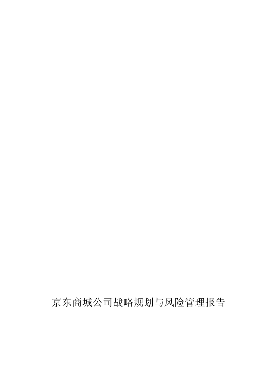 京东商城公司战略规划与风险管理报告_第1页