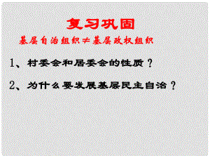 河北省新樂市高中政治 第二課 我國公民的政治參與 第四框 民主監(jiān)督 守望公共家園課件 新人教版必修2