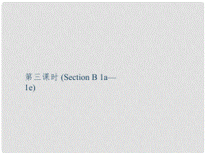 九年級英語全冊 Unit 14 I remember meeting all of you in Grade 7（第3課時）Section B（1a1e）課件 （新版）人教新目標版