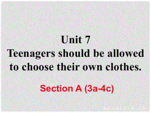 九年級英語全冊 Unit 7 Teenagers should be allowed to choose their own clothes Section A（3a4c）習題課件 （新版）人教新目標版