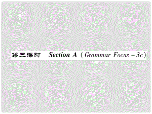 八年級(jí)英語(yǔ)上冊(cè) Unit 7 Will people have robots（第3課時(shí)）Section A（Grammar Focus3c）同步作業(yè)課件 （新版）人教新目標(biāo)版