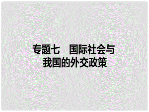 高考政治二輪復習 專題七 國際社會與我國的外交政策課件