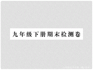 九年級(jí)化學(xué)下冊(cè) 期末復(fù)習(xí)課件 （新版）新人教版