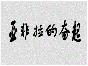 水滴系列九年級歷史下冊 第12課《亞非拉的奮起》課件3 新人教版