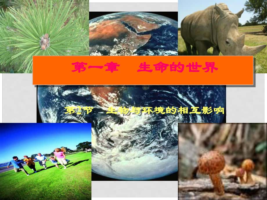 七年級(jí)生物上冊(cè) 第一章 第二節(jié) 生物與環(huán)境的相互影響課件 北師大版_第1頁(yè)