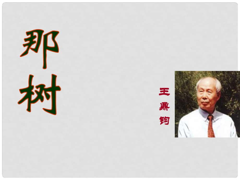 安徽省合肥市育英學(xué)校九年級語文下冊 第三單元 第10課《那樹》課件 新人教版_第1頁