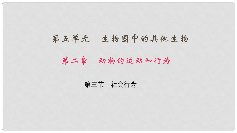 八年級生物上冊 第五單元 第二章 第三節(jié) 社會行為課件 （新版）新人教版_第1頁