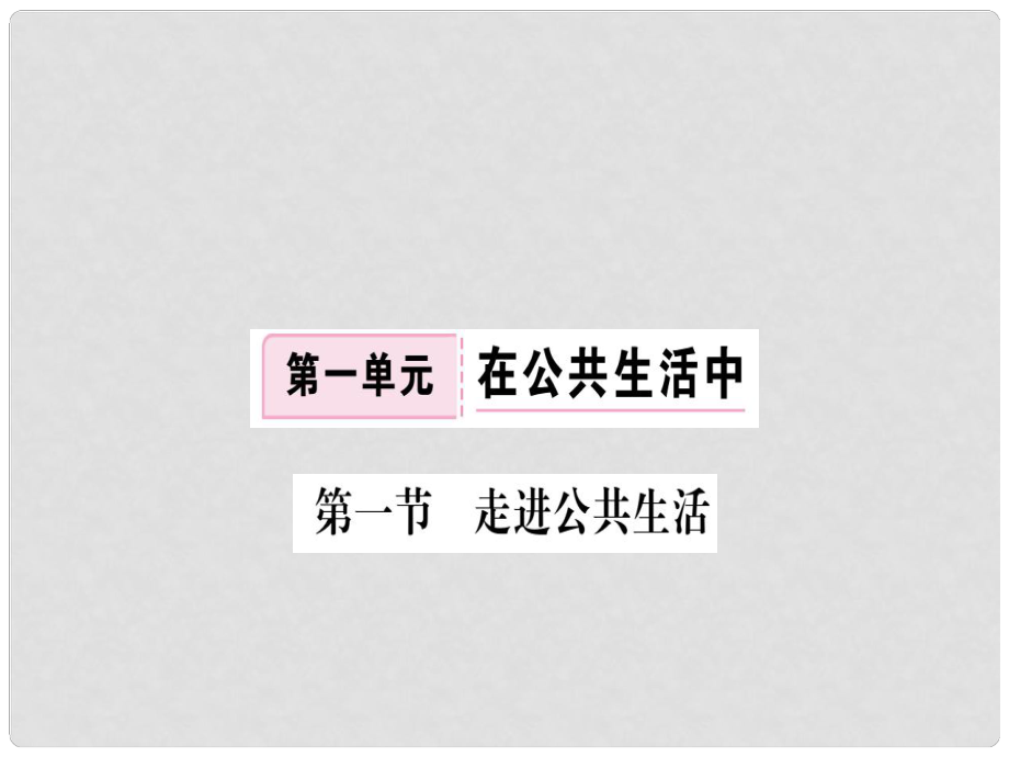 八年级道德与法治上册 第一单元 在公共生活中 第一节 走进公共生活习题课件 湘教版_第1页