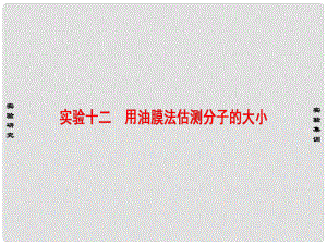 高考物理一輪復(fù)習(xí) 實(shí)驗(yàn)專題 十二 用油膜法估測(cè)分子的大小課件