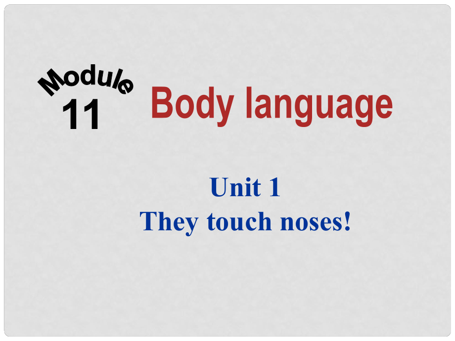 天津市寶坻區(qū)新安鎮(zhèn)七年級(jí)英語(yǔ)下冊(cè) Module 11 Body language Unit 1 They touch noses課件 （新版）外研版_第1頁(yè)