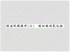 湖南省中考化學(xué) 第一篇 系統(tǒng)復(fù)習(xí) 夯實基礎(chǔ) 課后鞏固提升（三）碳和碳的氧化物課件