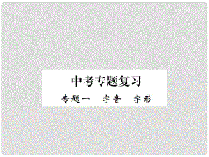 九年級(jí)語(yǔ)文下冊(cè) 專題一 字音 字形復(fù)習(xí)課件 鄂教版