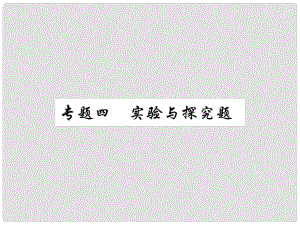 中考物理总复习 第二轮 专题能力提升 专题四 实验与探究题（讲解本）课件