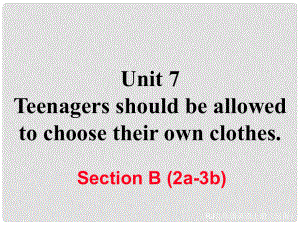 九年級英語全冊 Unit 7 Teenagers should be allowed to choose their own clothes Section B（2a3b）習題課件 （新版）人教新目標版