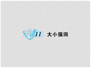 九年級語文上冊 第三單元 第11課 大小貓洞課件 語文版