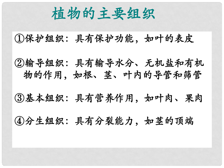 七年級生物上冊 第二單元 第三章 第3節(jié) 細胞通過分裂而增殖 植物的主要組織課件 北師大版_第1頁