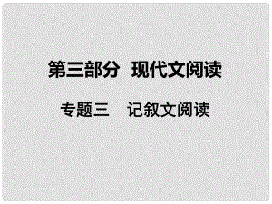 湖南省中考語文 第三部分 現(xiàn)代文閱讀 專題三 記敘文閱讀課件 語文版