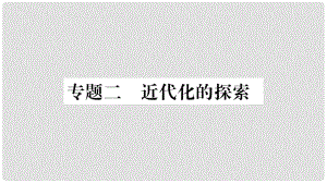 中考歷史總復習 第二篇 知能綜合提升 專題2 近代化的探索課件 新人教版