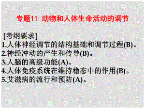 江蘇省贛榆縣高考生物一輪復(fù)習(xí) 專題十一 動物和人體生命活動的調(diào)節(jié)課件 蘇教版