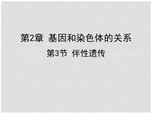 湖南省长沙市高中生物 2.3 伴性遗传课件（1）新人教版必修2